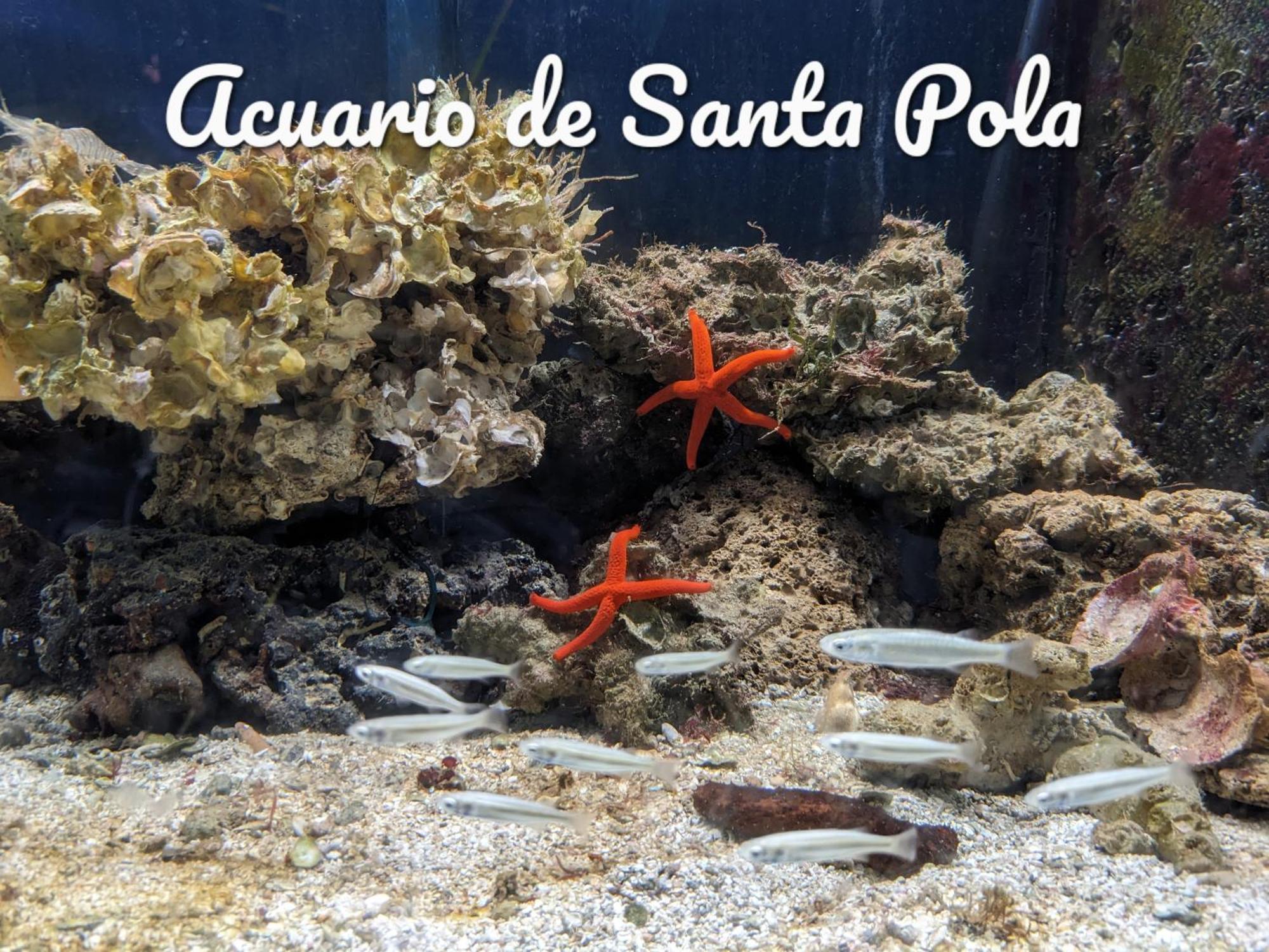 Best Holiday Santa Pola Exteriér fotografie